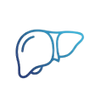 Liver Support